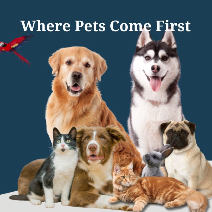 pet pro club home