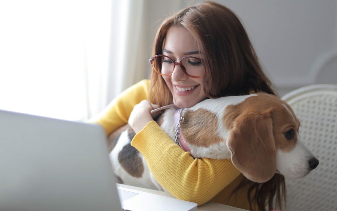 STARTING YOUR PET BUSINESS JOURNEY