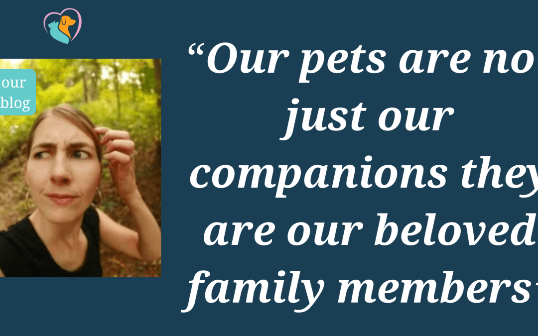 Keeping Your Furry Friend Safe: Preventing Pets from Getting Lost