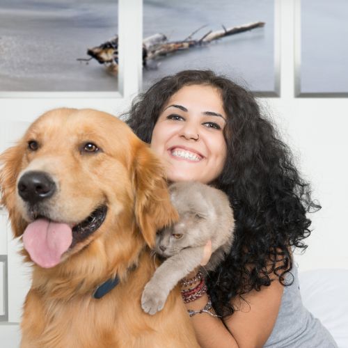 free resource pet parent person on a computer about pets