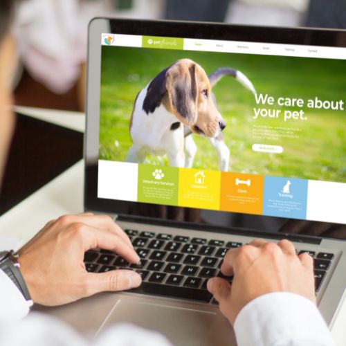 image for sign up page person on a computer about pets