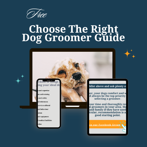 sign up page dg