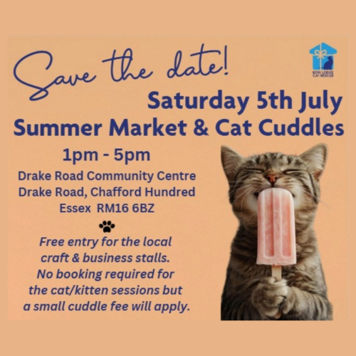 bow lodge cat rescue