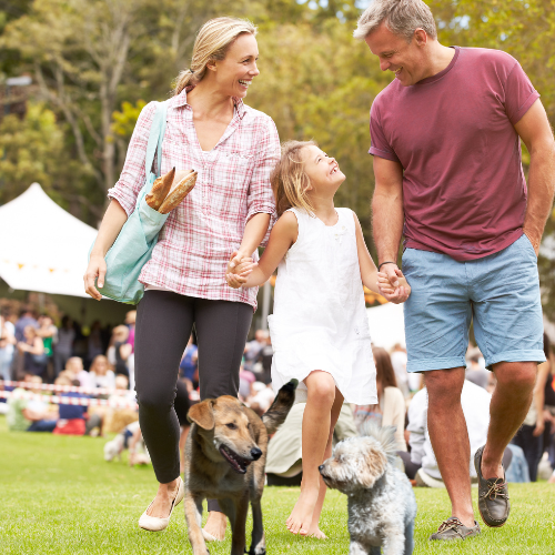 pet show pet event<br />