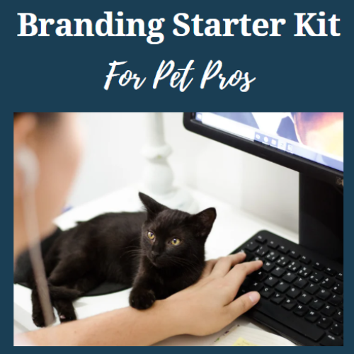 branding starter kit<br />