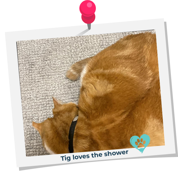 tig loves the shower