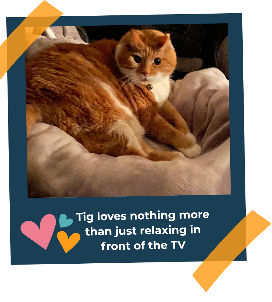 tig relaxing in front of tv 2