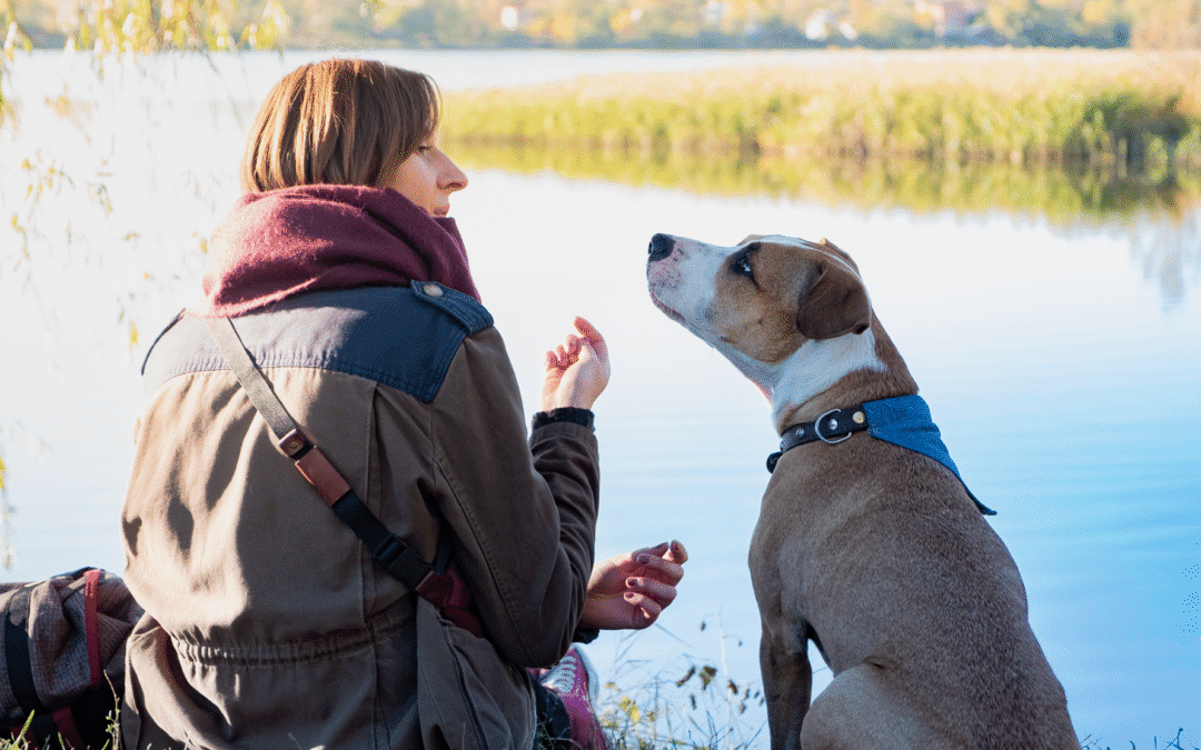 From Hobby to Thriving Business