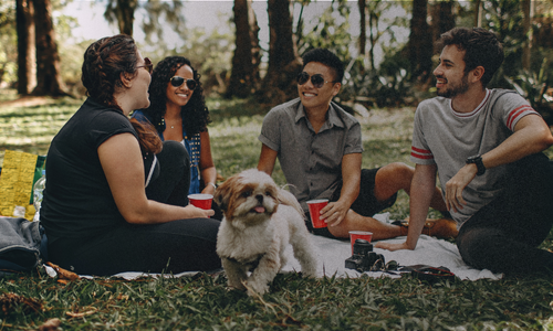 picture of people in park with pets people in park with pets