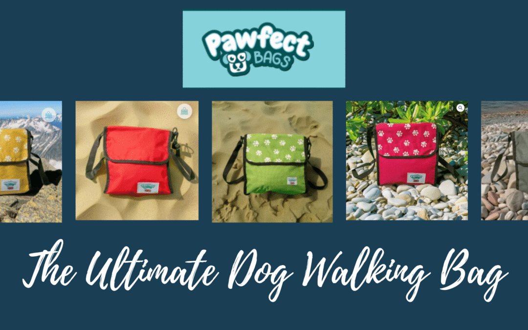 Walk Your Dog In Style