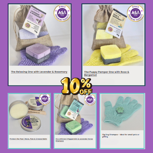 tilly and family website image (1) tilly and family collage