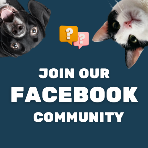 JOIN OUR FACEBOOK COMMUNITY OFFER TO JOIN FACEBOOK COMMUNITYU