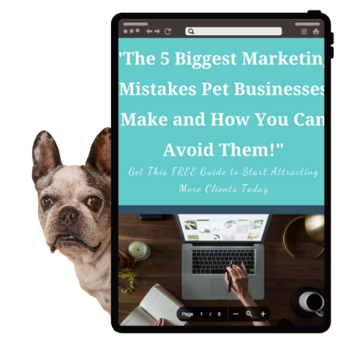 computer screen and peeping dog