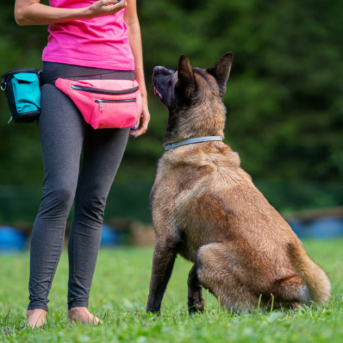lady giving treats to her dog