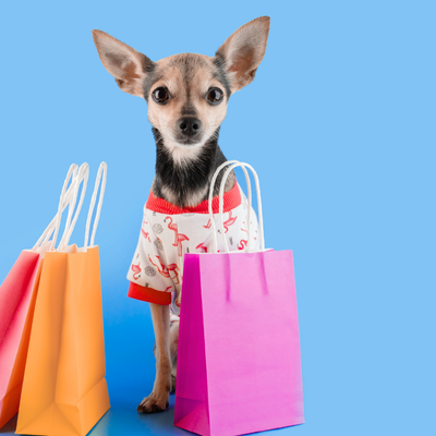 dog with shopping bags